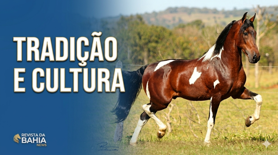 Tradição e cultura